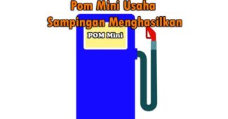 Pom Mini